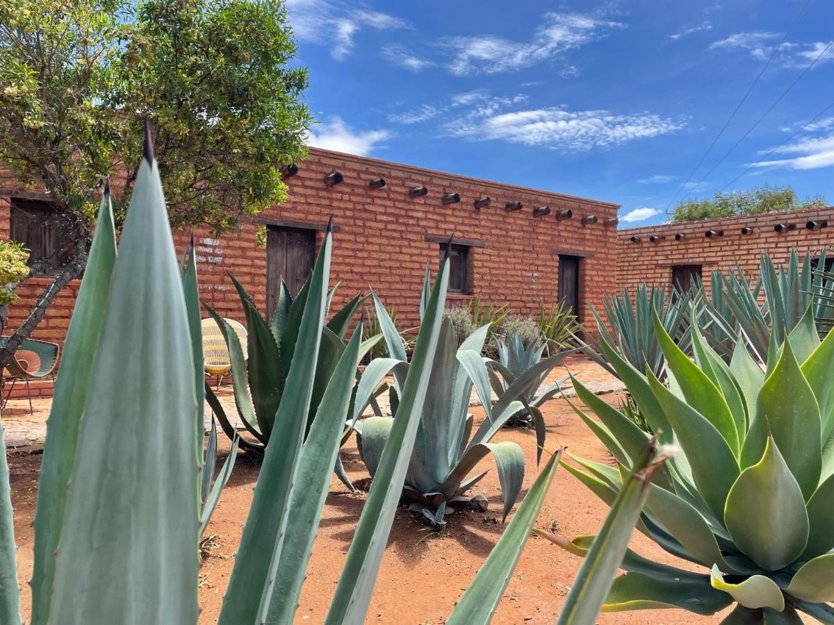 Casa Regina Oaxaca Villa San Pablo Villa de Mitla Eksteriør billede
