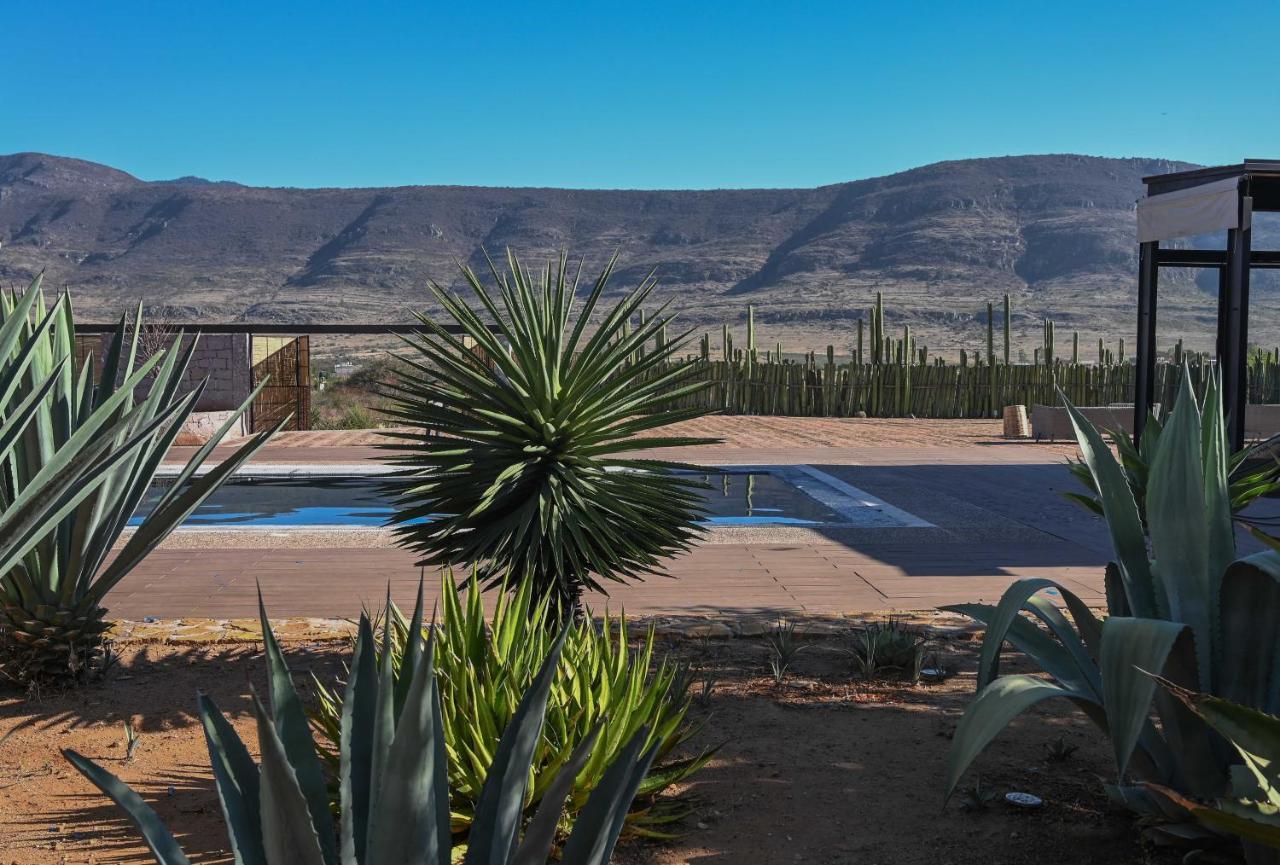 Casa Regina Oaxaca Villa San Pablo Villa de Mitla Eksteriør billede