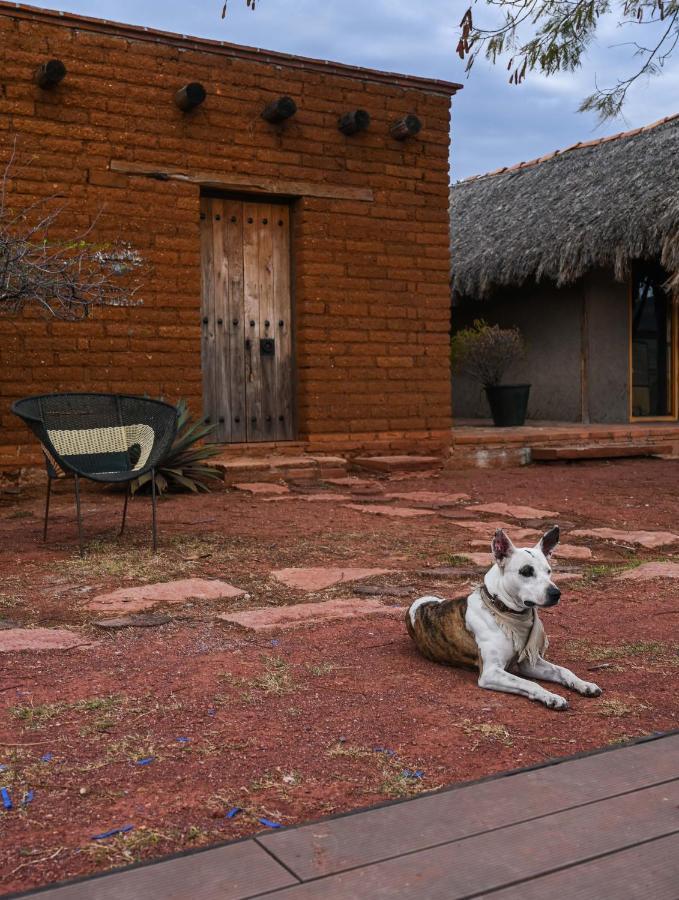 Casa Regina Oaxaca Villa San Pablo Villa de Mitla Eksteriør billede