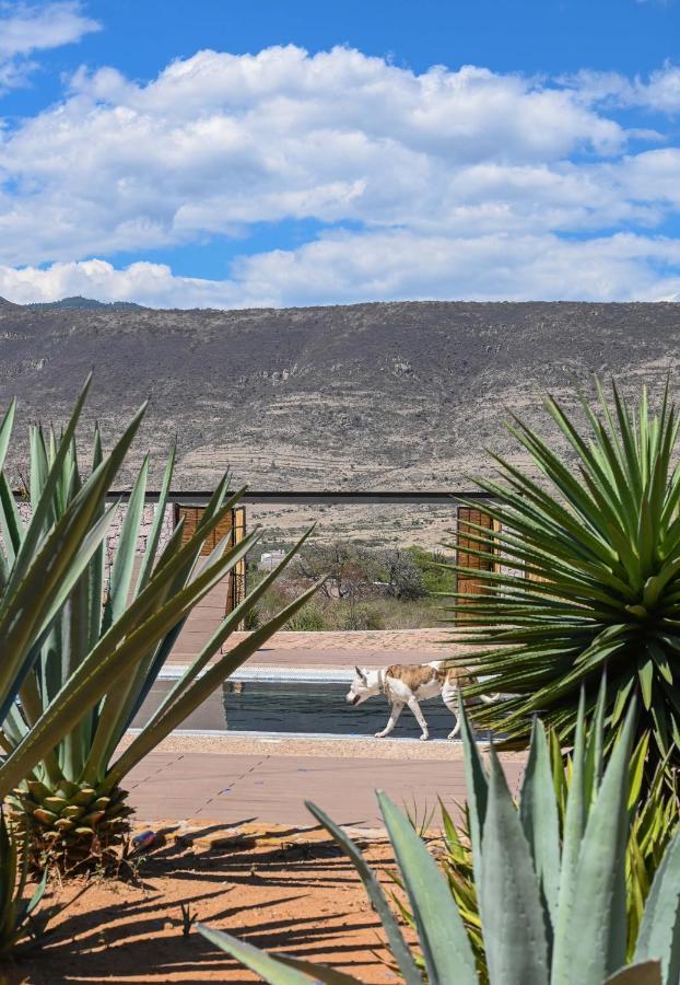 Casa Regina Oaxaca Villa San Pablo Villa de Mitla Eksteriør billede