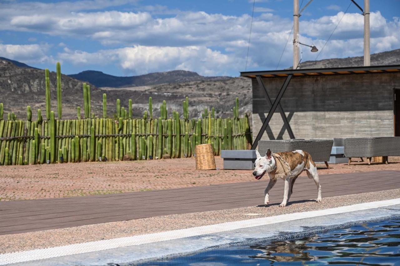 Casa Regina Oaxaca Villa San Pablo Villa de Mitla Eksteriør billede